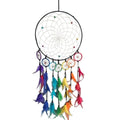 Dream Catcher Rainbow Chakra Feather