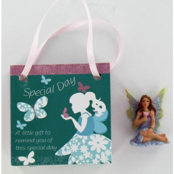 Fairy Magic Bag