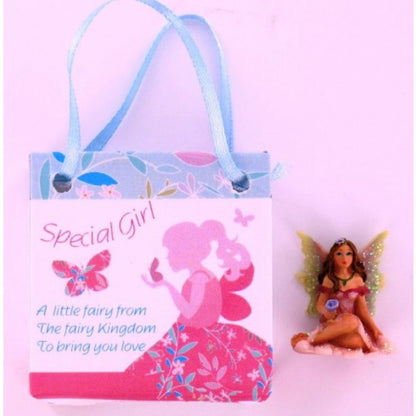 Fairy Magic gift Bag